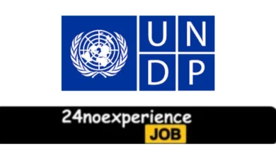 Latest UNDP Vacancies 2024 Recruitment available at Cleaner, Supervisor, Delivery Positions